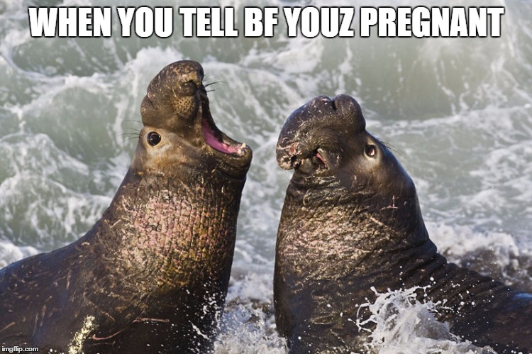 Say It Ain't So | WHEN YOU TELL BF YOUZ PREGNANT | image tagged in oops,please no,it's a lie,pregnant,unplanned,shock | made w/ Imgflip meme maker