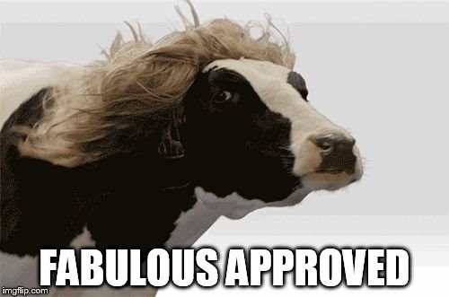 Fabulous | FABULOUS APPROVED | image tagged in fabulous | made w/ Imgflip meme maker