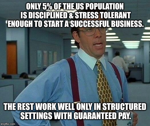 That Would Be Great Meme | ONLY 5% OF THE US POPULATION IS DISCIPLINED & STRESS TOLERANT ENOUGH TO START A SUCCESSFUL BUSINESS. THE REST WORK WELL ONLY IN STRUCTURED S | image tagged in memes,that would be great | made w/ Imgflip meme maker