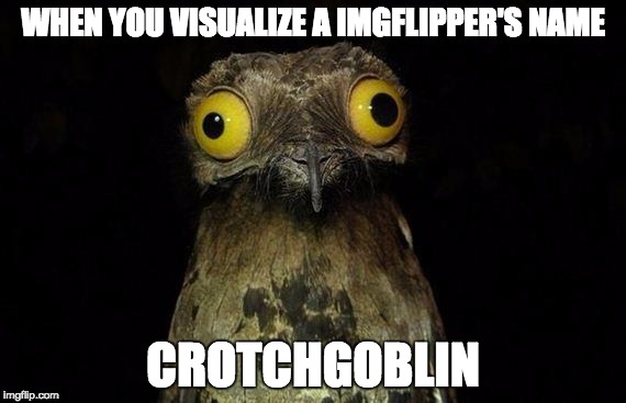 Wierd stuff I do potoo | WHEN YOU VISUALIZE A
IMGFLIPPER'S NAME; CROTCHGOBLIN | image tagged in wierd stuff i do potoo,crotchgoblin | made w/ Imgflip meme maker