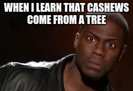 Kevin Hart | WHEN I LEARN THAT CASHEWS COME FROM A TREE | image tagged in memes,kevin hart the hell | made w/ Imgflip meme maker