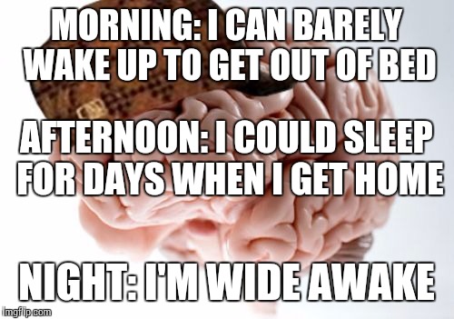 Scumbag Brain |  MORNING: I CAN BARELY WAKE UP TO GET OUT OF BED; AFTERNOON: I COULD SLEEP FOR DAYS WHEN I GET HOME; NIGHT: I'M WIDE AWAKE | image tagged in memes,scumbag brain | made w/ Imgflip meme maker