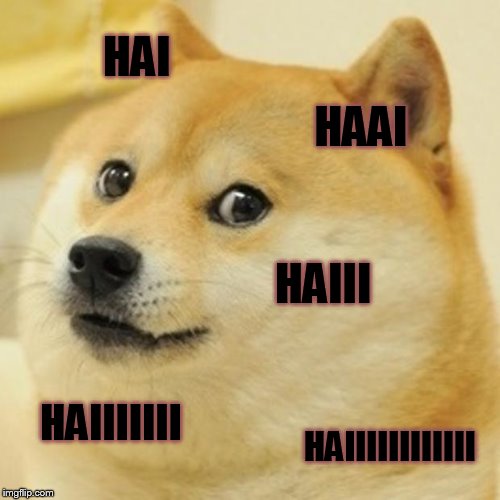 Doge Meme | HAI; HAAI; HAIII; HAIIIIIII; HAIIIIIIIIIIII | image tagged in memes,doge | made w/ Imgflip meme maker