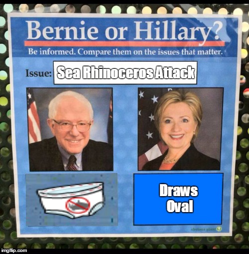Bernie or Hillary? | Sea Rhinoceros Attack; Draws Oval | image tagged in bernie or hillary | made w/ Imgflip meme maker