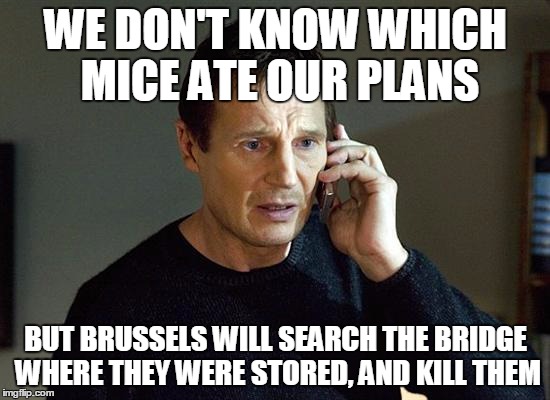 Liam Neeson Taken 2 Meme | WE DON'T KNOW WHICH MICE ATE OUR PLANS; BUT BRUSSELS WILL SEARCH THE BRIDGE WHERE THEY WERE STORED, AND KILL THEM | image tagged in memes,liam neeson taken 2 | made w/ Imgflip meme maker