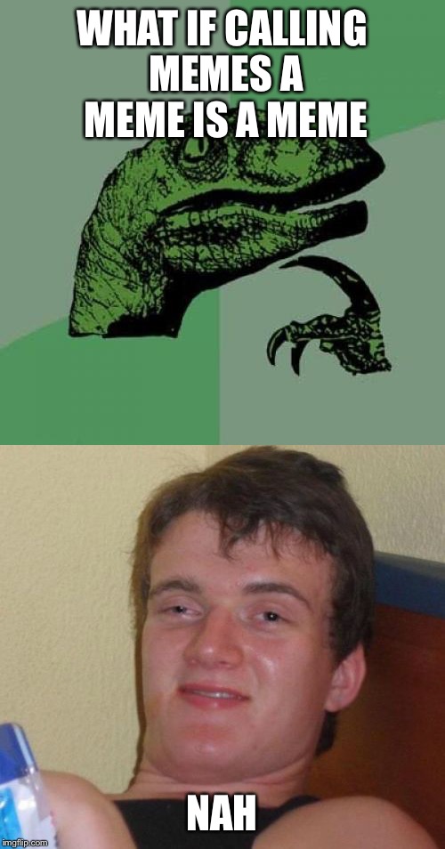 WHAT IF CALLING MEMES A MEME IS A MEME; NAH | image tagged in 10 guy,philosoraptor,derp | made w/ Imgflip meme maker