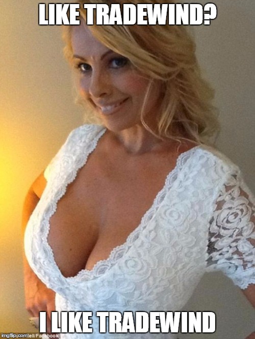 Blonde boobs | LIKE TRADEWIND? I LIKE TRADEWIND | image tagged in blonde boobs | made w/ Imgflip meme maker