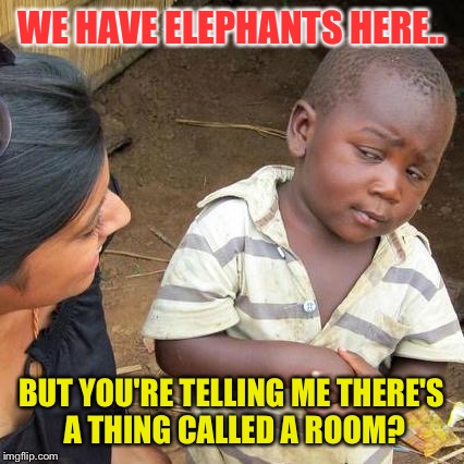 Third World Skeptical Kid Meme | WE HAVE ELEPHANTS HERE.. BUT YOU'RE TELLING ME THERE'S A THING CALLED A ROOM? | image tagged in memes,third world skeptical kid | made w/ Imgflip meme maker