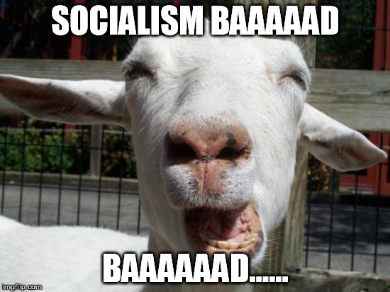 Sheep  | SOCIALISM BAAAAAD; BAAAAAAD...... | image tagged in sheep | made w/ Imgflip meme maker