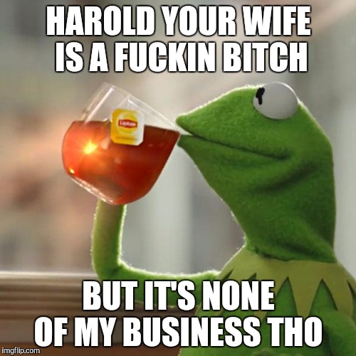 But That's None Of My Business Meme | HAROLD YOUR WIFE IS A F**KIN B**CH BUT IT'S NONE OF MY BUSINESS THO | image tagged in memes,but thats none of my business,kermit the frog | made w/ Imgflip meme maker
