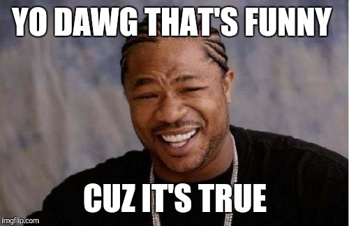 Yo Dawg Heard You Meme | YO DAWG THAT'S FUNNY CUZ IT'S TRUE | image tagged in memes,yo dawg heard you | made w/ Imgflip meme maker