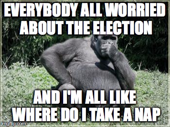 Election concerns | EVERYBODY ALL WORRIED ABOUT THE ELECTION; AND I'M ALL LIKE WHERE DO I TAKE A NAP | image tagged in pondering ape,election,nap,funny meme | made w/ Imgflip meme maker