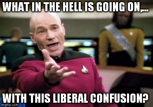 Picard Wtf Meme | WHAT IN THE HELL IS GOING ON,... WITH THIS LIBERAL CONFUSION? | image tagged in memes,picard wtf | made w/ Imgflip meme maker