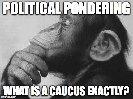 What is a caucus anyway? |  POLITICAL PONDERING; WHAT IS A CAUCUS EXACTLY? | image tagged in monkey,thinking,caucus,politics,funny meme | made w/ Imgflip meme maker
