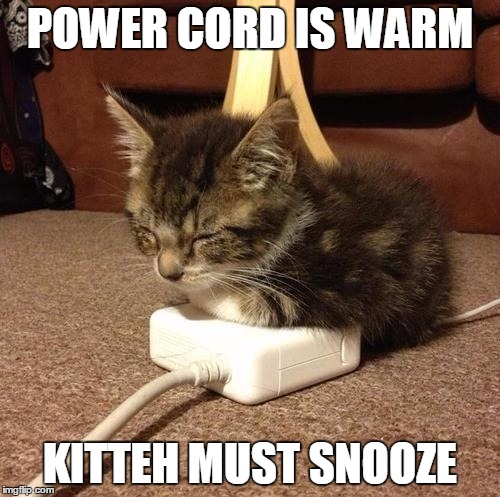 A warm kitteh is happy kitteh. | POWER CORD IS WARM; KITTEH MUST SNOOZE | image tagged in happy kitty | made w/ Imgflip meme maker