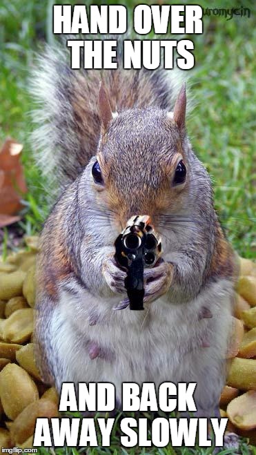 funny squirrels with guns (5) | HAND OVER THE NUTS; AND BACK AWAY SLOWLY | image tagged in funny squirrels with guns 5 | made w/ Imgflip meme maker