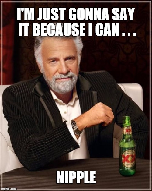 The Most Interesting Man In The World Meme |  I'M JUST GONNA SAY IT BECAUSE I CAN . . . NIPPLE | image tagged in memes,the most interesting man in the world | made w/ Imgflip meme maker