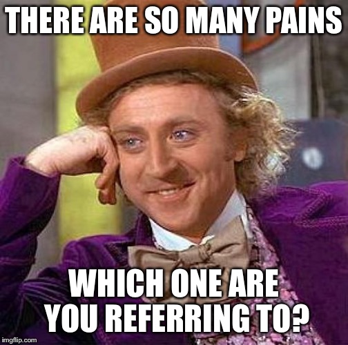 Creepy Condescending Wonka Meme | THERE ARE SO MANY PAINS WHICH ONE ARE YOU REFERRING TO? | image tagged in memes,creepy condescending wonka | made w/ Imgflip meme maker