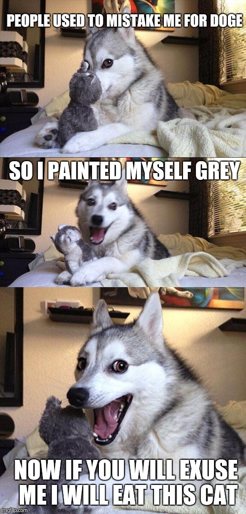 Bad Pun Dog Meme | PEOPLE USED TO MISTAKE ME FOR DOGE; SO I PAINTED MYSELF GREY; NOW IF YOU WILL EXUSE ME I WILL EAT THIS CAT | image tagged in memes,bad pun dog | made w/ Imgflip meme maker