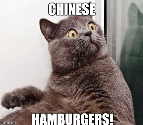 CHINESE HAMBURGERS! | made w/ Imgflip meme maker