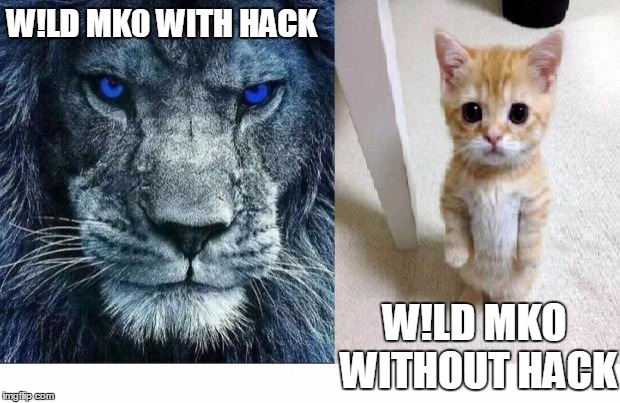 Lions | W!LD MK0 WITH HACK; W!LD MKO WITHOUT HACK | image tagged in lions | made w/ Imgflip meme maker