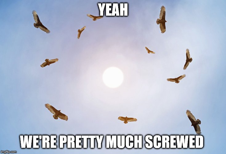 Vultures | YEAH WE'RE PRETTY MUCH SCREWED | image tagged in vultures | made w/ Imgflip meme maker