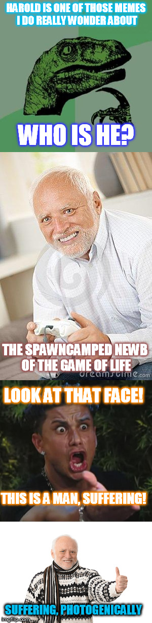 Just Who is Harold? | HAROLD IS ONE OF THOSE MEMES I DO REALLY WONDER ABOUT; WHO IS HE? THE SPAWNCAMPED NEWB OF THE GAME OF LIFE; LOOK AT THAT FACE! THIS IS A MAN, SUFFERING! SUFFERING, PHOTOGENICALLY | image tagged in memes,hide the pain harold,harold,popular,suffering | made w/ Imgflip meme maker