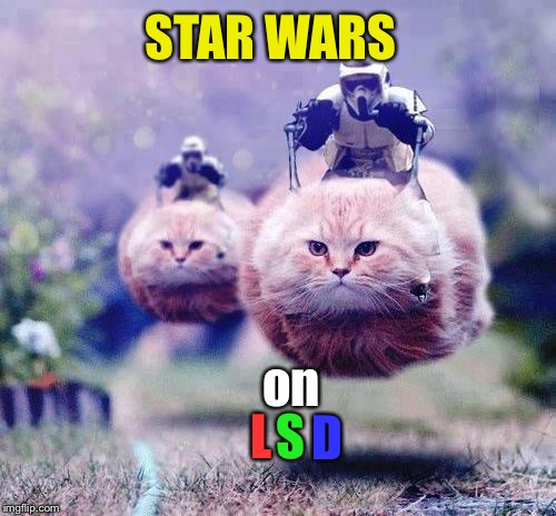 LSD Cat | STAR WARS; on; S; D; L | image tagged in storm trooper cats | made w/ Imgflip meme maker