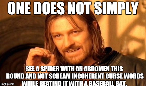 Aghhfruthdarghfheyieie! | ONE DOES NOT SIMPLY; SEE A SPIDER WITH AN ABDOMEN THIS ROUND AND NOT SCREAM INCOHERENT CURSE WORDS WHILE BEATING IT WITH A BASEBALL BAT. | image tagged in memes,one does not simply,spiders,funny,humor | made w/ Imgflip meme maker