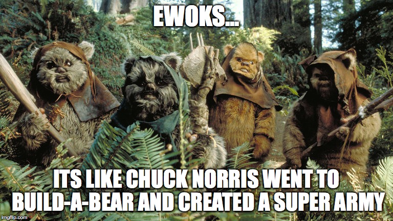 EWOKS... ITS LIKE CHUCK NORRIS WENT TO BUILD-A-BEAR AND CREATED A SUPER ARMY | image tagged in chuck norris,funny memes | made w/ Imgflip meme maker