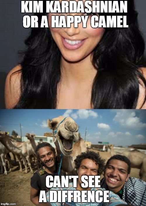 happy camel and kim kardashnian | KIM KARDASHNIAN OR A HAPPY CAMEL; CAN'T SEE A DIFFRENCE | image tagged in happy camel and kim kardashnian | made w/ Imgflip meme maker