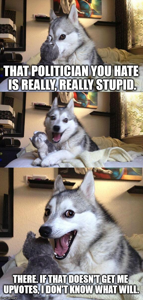 Bad Pun Dog Meme | THAT POLITICIAN YOU HATE IS REALLY, REALLY STUPID. THERE. IF THAT DOESN'T GET ME UPVOTES, I DON'T KNOW WHAT WILL. | image tagged in memes,bad pun dog | made w/ Imgflip meme maker
