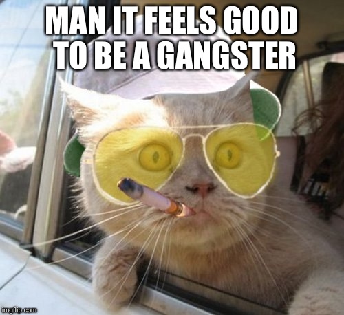 Fear And Loathing Cat Meme | MAN IT FEELS GOOD TO BE A GANGSTER | image tagged in memes,fear and loathing cat | made w/ Imgflip meme maker