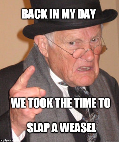 Back in my day | BACK IN MY DAY; WE TOOK THE TIME TO; SLAP A WEASEL | image tagged in back in my day | made w/ Imgflip meme maker