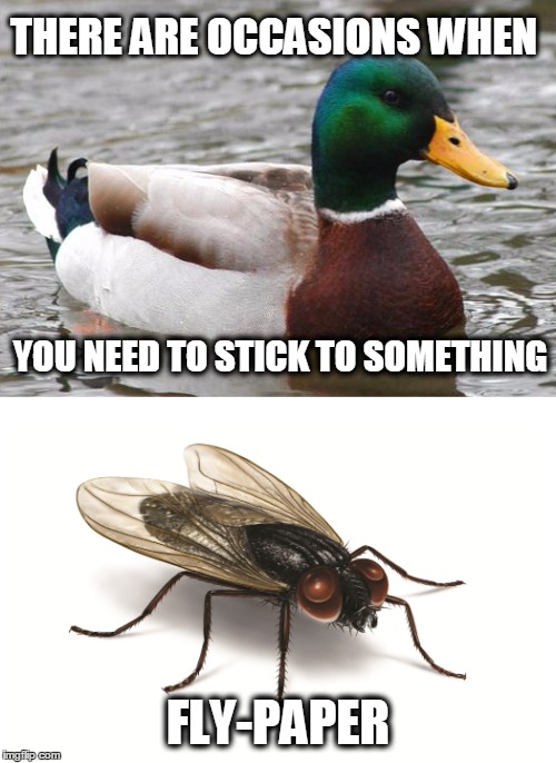 THERE ARE OCCASIONS WHEN; YOU NEED TO STICK TO SOMETHING; FLY-PAPER | image tagged in actual advice mallard,the fly,overly attached girlfriend | made w/ Imgflip meme maker