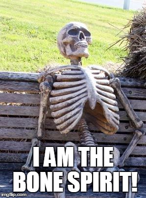 Curios?   http://www.amazon.com/Bone-Spirit-Chris-Snider/dp/150279148X/ref=sr_1_2?ie=UTF8&qid=1455961938&sr=8-2&keywords=Chris+S | I AM THE BONE SPIRIT! | image tagged in memes,waiting skeleton | made w/ Imgflip meme maker