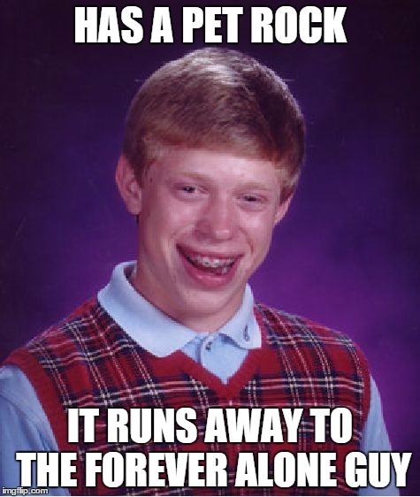 Bad Luck Brian Meme | HAS A PET ROCK; IT RUNS AWAY TO THE FOREVER ALONE GUY | image tagged in memes,bad luck brian | made w/ Imgflip meme maker