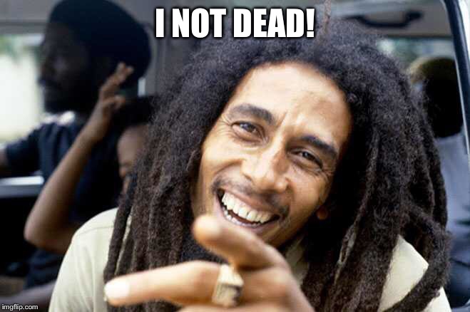 I not dead! | I NOT DEAD! | image tagged in marley not dead | made w/ Imgflip meme maker