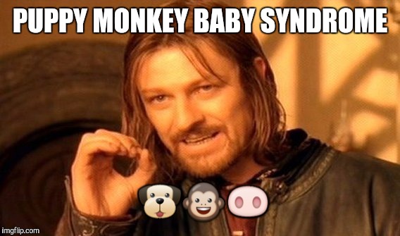 One Does Not Simply Meme | PUPPY MONKEY BABY SYNDROME  | image tagged in memes,one does not simply | made w/ Imgflip meme maker
