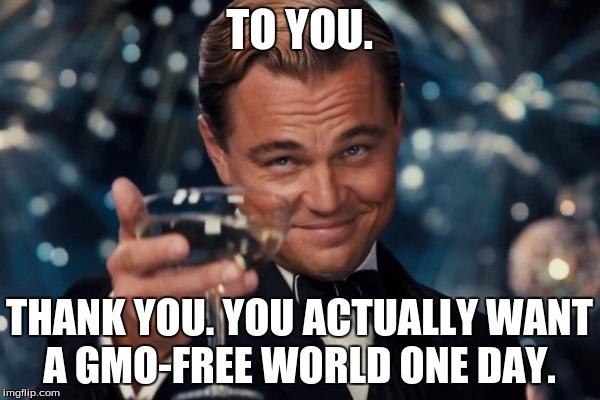 Leonardo Dicaprio Cheers Meme | TO YOU. THANK YOU. YOU ACTUALLY WANT A GMO-FREE WORLD ONE DAY. | image tagged in memes,leonardo dicaprio cheers | made w/ Imgflip meme maker