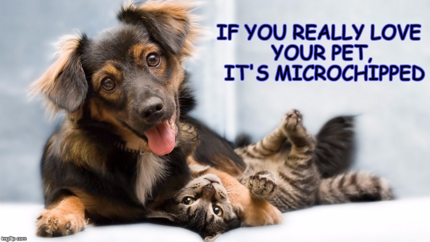 IF YOU REALLY
LOVE YOUR PET, 
IT'S MICROCHIPPED | made w/ Imgflip meme maker