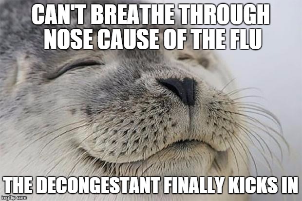 Satisfied Seal | CAN'T BREATHE THROUGH NOSE CAUSE OF THE FLU; THE DECONGESTANT FINALLY KICKS IN | image tagged in memes,satisfied seal | made w/ Imgflip meme maker