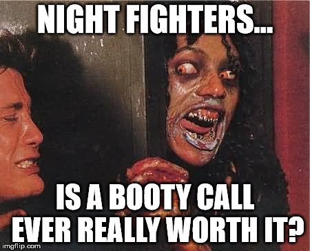 Stupid Shit | NIGHT FIGHTERS... IS A BOOTY CALL EVER REALLY WORTH IT? | image tagged in funny memes | made w/ Imgflip meme maker