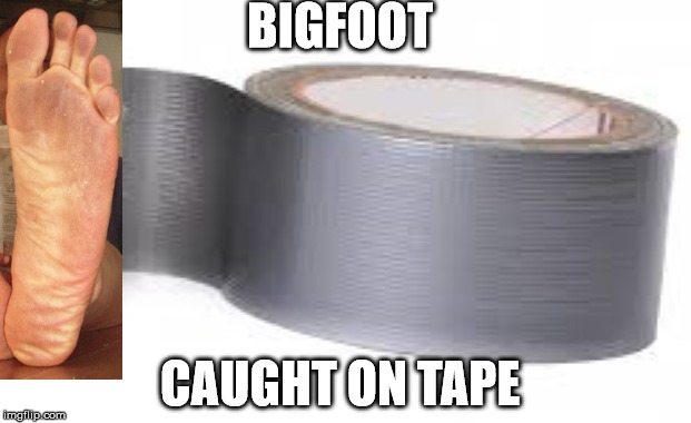 Bigfoot  | BIGFOOT; CAUGHT ON TAPE | image tagged in bigfoot,tape | made w/ Imgflip meme maker
