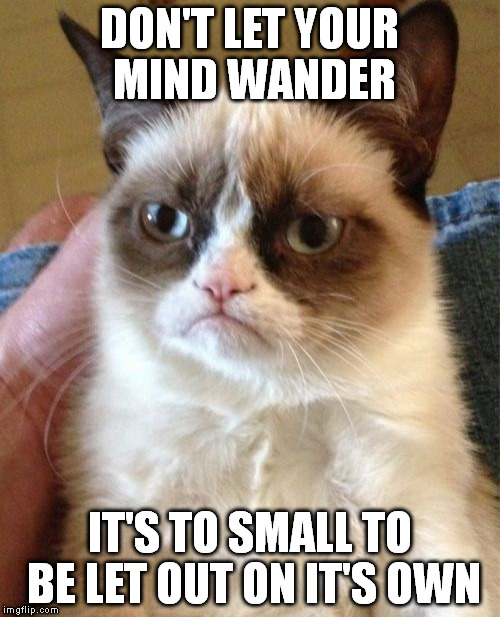Grumpy Cat | DON'T LET YOUR MIND WANDER; IT'S TO SMALL TO BE LET OUT ON IT'S OWN | image tagged in memes,grumpy cat | made w/ Imgflip meme maker