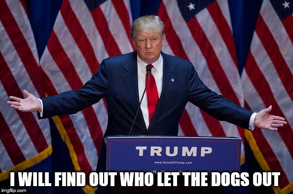 Donald Trump | I WILL FIND OUT WHO LET THE DOGS OUT | image tagged in donald trump,memes,politics,music | made w/ Imgflip meme maker