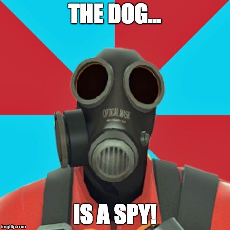 Paranoid Pyro | THE DOG... IS A SPY! | image tagged in paranoid pyro | made w/ Imgflip meme maker