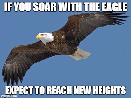 soaring eagle | IF YOU SOAR WITH THE EAGLE; EXPECT TO REACH NEW HEIGHTS | image tagged in eagle | made w/ Imgflip meme maker