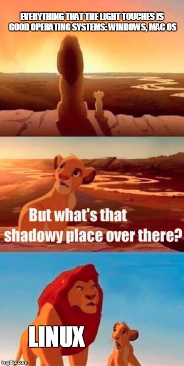 Simba Shadowy Place | EVERYTHING THAT THE LIGHT TOUCHES IS GOOD OPERATING SYSTEMS: WINDOWS, MAC OS; LINUX | image tagged in memes,simba shadowy place,windows,mac,linux | made w/ Imgflip meme maker