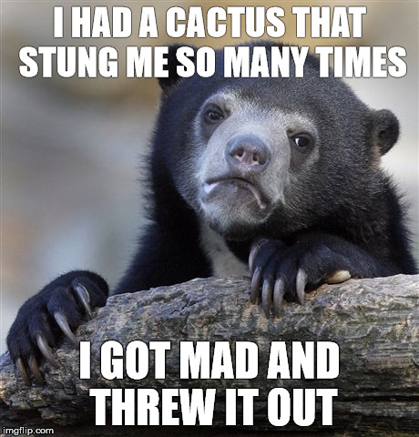 Confession Bear Meme | I HAD A CACTUS THAT STUNG ME SO MANY TIMES; I GOT MAD AND THREW IT OUT | image tagged in memes,confession bear,cactus | made w/ Imgflip meme maker